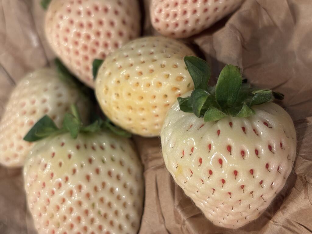 White strawberries